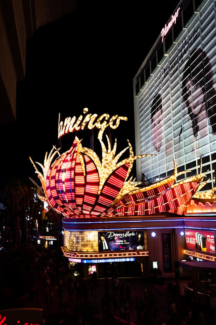 bachelor-party-02 Bright neon lights of the Flamingo Hotel casino at night in Las Vegas.
